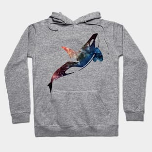 Galaxy Orca Hoodie